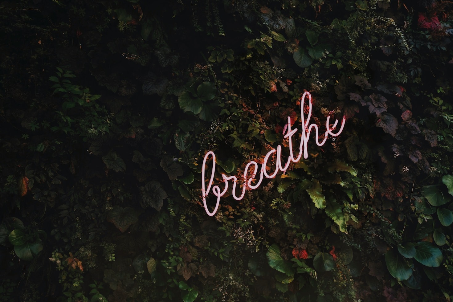 The Science of Stress: How It Affects Us